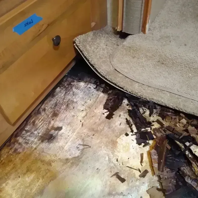 Best Wood Floor Water Damage Service in Montgomery, NY